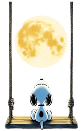 transparent-Photoroom (26) 1