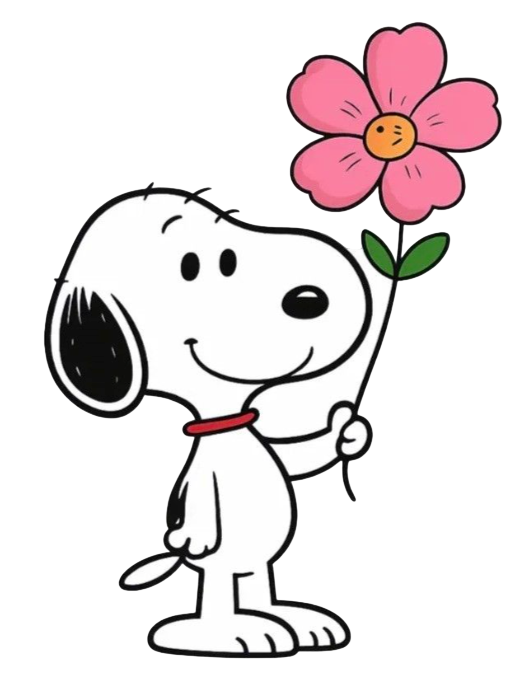 Screenshot 2026-02-20 at 11.13.04 PM-Photoroom 1