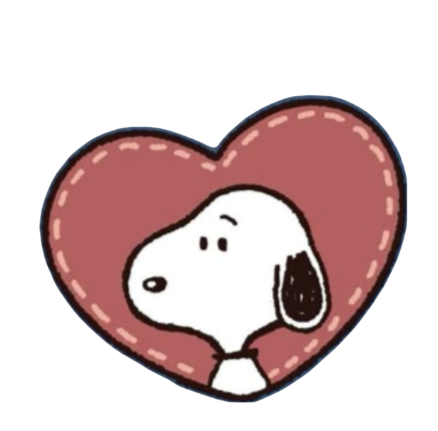 Screenshot 2026-02-20 at 1.39.08 PM-Photoroom 2